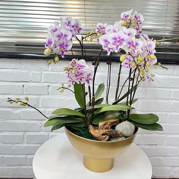 MLINS  Metal Flower Planting Pot Silver Indoor Pots Decorative Golden