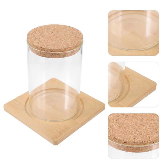 MLINS  Moss Eco Bottle Hydroponics Home Decor Desktop Plants Office Work