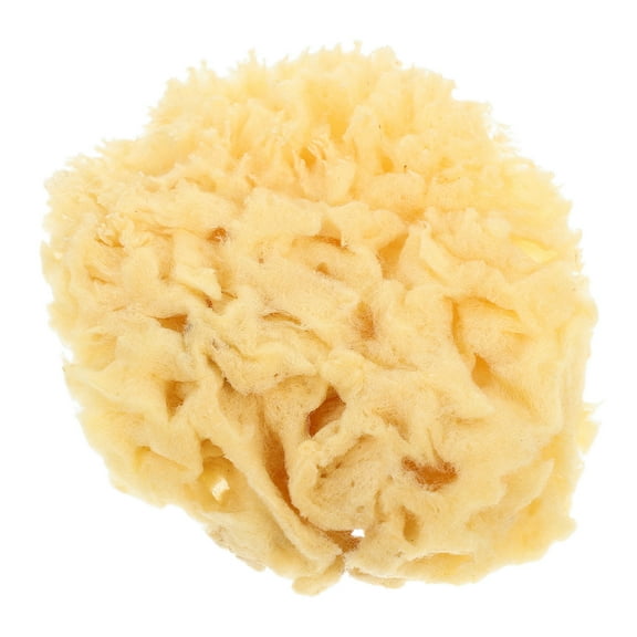 MLINS Natural Sea Sponge for Art and Craft Soft and Absorbent suitable for Professional Artists Watercolor Tool Ideal for DIY Texture and Wall Painting