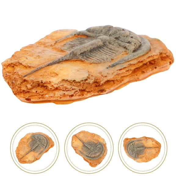 MLINS Paleontological Insect Ornament Specimen for Science Teaching