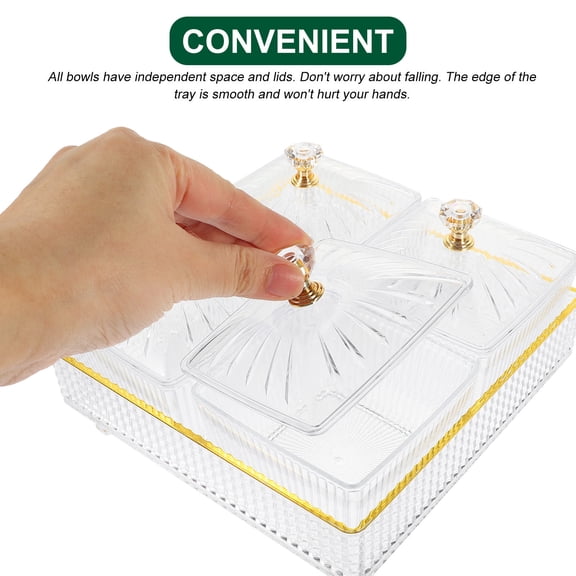 MLINS Portable Fresh Snack Plate Platter Dessert Dried Fruit Holder