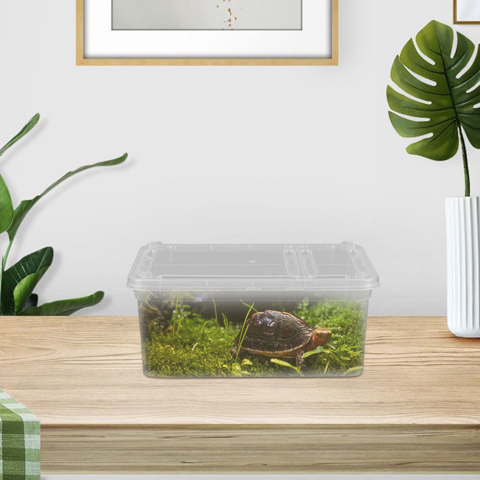 MLINS Reptile Box Breathable Feeding Holder Spider Box Acrylic Reptiles Feeding Box