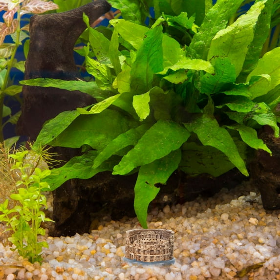 MLINS Roman Colosseum Statue Crafted in Synthetic Resin for Decoration Multi Color Ideal Tabletop