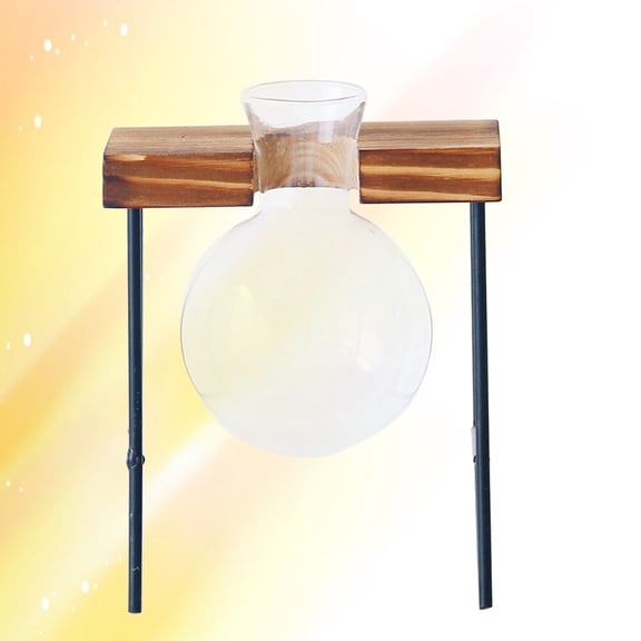 MLINS Round Glass Planter Bulb Vase Hydroponic Plant Container for Garden Decor Multi Terrarium