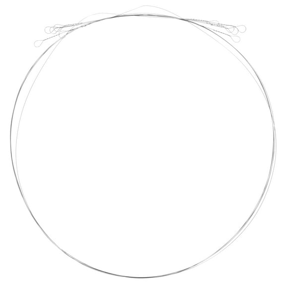 MLINS Sturdy Stainless Steel Cheese Slicer Wire for Home Use Silver 5pcs Replacement Wire