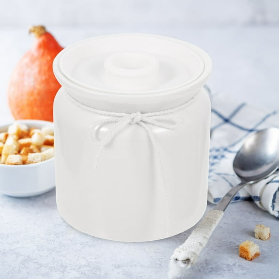 PTOOTP Ceramic Condiment Jar White for Tea Leaf Chili Powder and Sugar Storage