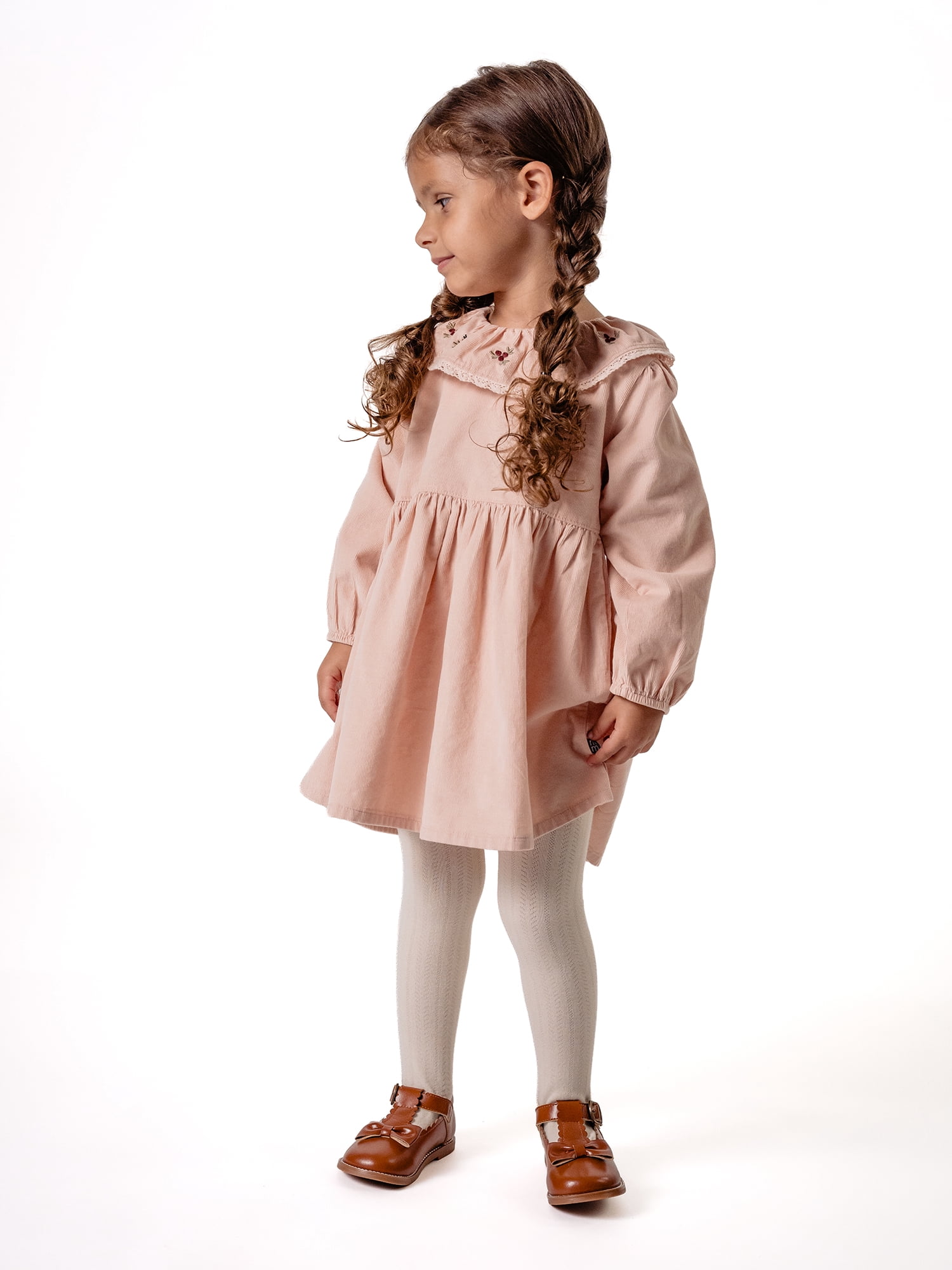 by Gerber Toddler Girl Novelty Lace Collar Dress, 12 Months - 5T