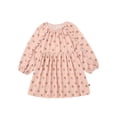 thumbnail image 1 of Modern Moments by Gerber Toddler Girl Dress with Ruffle Detail, Sizes 12 Months - 5T, 1 of 7