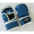 MMA Kids Boxing Gloves, Kids Mixed Martial Arts Gloves. 25 Years Young