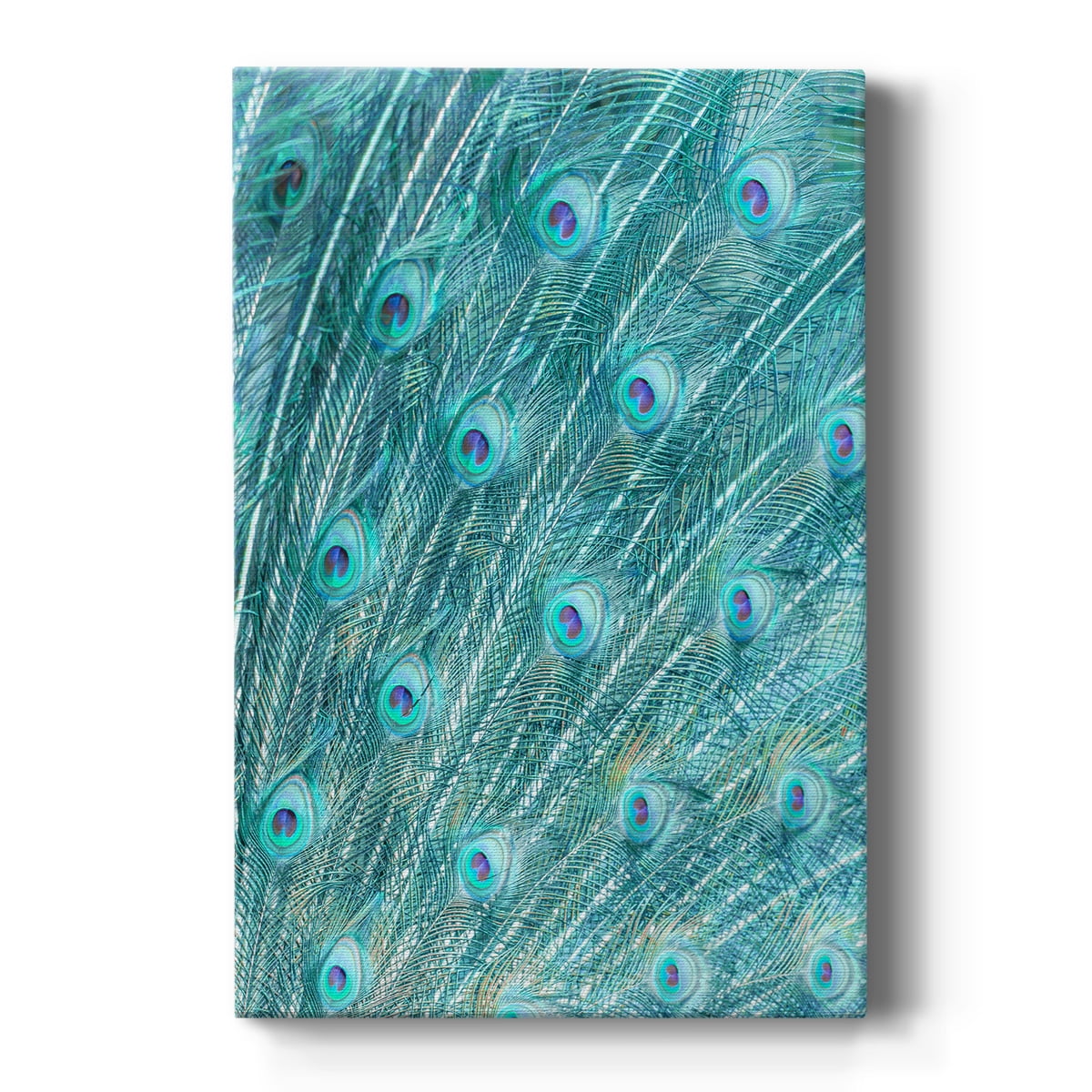 MMC-0527 Premium Gallery Wrapped Canvas - Ready to Hang