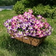 thumbnail image 1 of MMJ Artificial Flowers Hanging Basket Faux Silk Trailing Vine with Blooms for Indoor Balcony Window 13x6.69in, 1 of 8