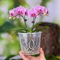 thumbnail image 1 of MMJ Clear Plastic Orchid Pots with Holes and Saucers Breathable Transparent Flower Planters 4 Sizes, 1 of 6