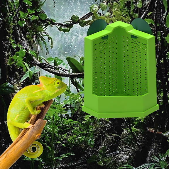 MMJ Lizard Crickets Feeder with Suction Cups Hanging Reptile Geckos Feeding Bowl Climbing Ladder