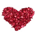 thumbnail image 1 of MODANU 150g Red Rose Petals Wedding Confetti, Dried Flower Petals for Bath, Soap, Candle Making, Tabletop Decoration, Mother's Day Gifts, Fragrance and Flower Girl Bridal, 1 of 8