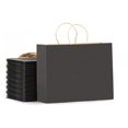 thumbnail image 1 of MODANU 20Pcs Large Paper Bags with Handles, 16"x5"x12" Paper Shopping Bags for Small Business, Large Kraft Gift Bags Bulk for Grocery Mechandise Retail (Black), 1 of 7