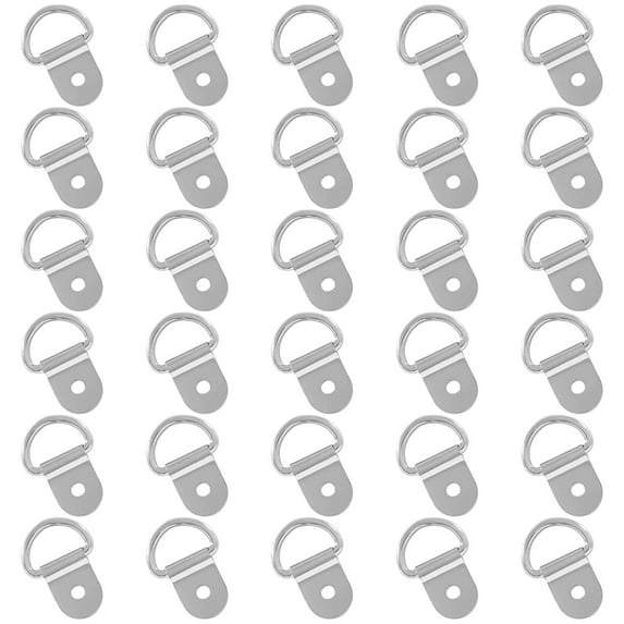 MODANU 30 Pack Small Steel D-Ring Tie Downs, Stainless Steel D Rings Anchor Lashing for Loads on Case Truck Cargo Trailers RV Boats, Silver