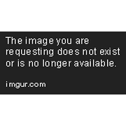 MOEN INC/FAUCETS 26112 Chrome 6Func Mag Shower Head