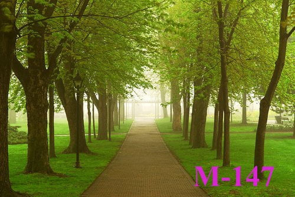 MOHome 7x5ft A Green Forest Path Photo Backdrop photography Backdrop ...