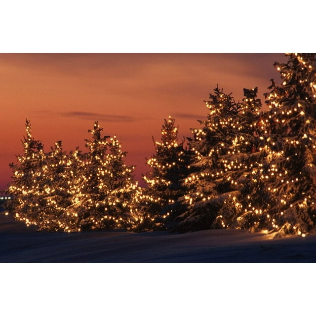 MOHome Christmas theme 7x5ft Photography Background Backdrop