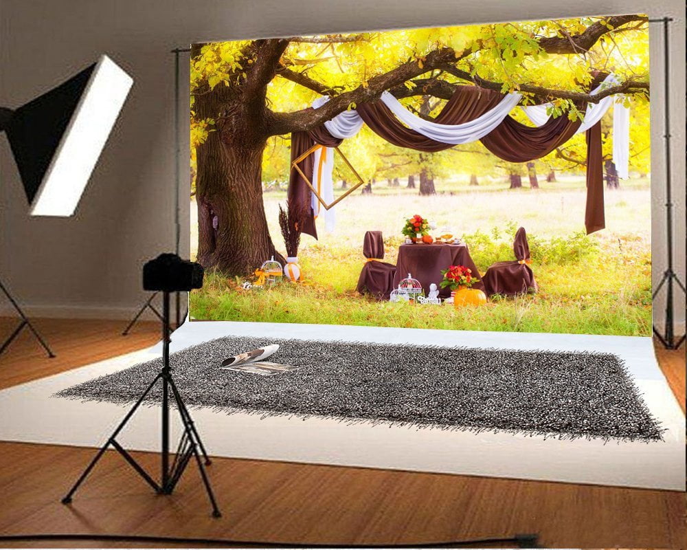 Date Backdrop MOHome Romantic Date Backdrop 7x5ft Photography Backdrop Autumn Park ...