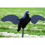 MOJO CROW DECOY 6 AA BATTERIES