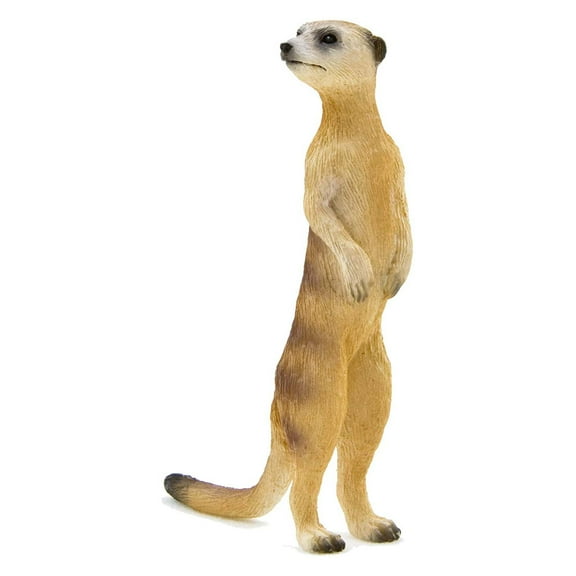 MEERKAT 387125