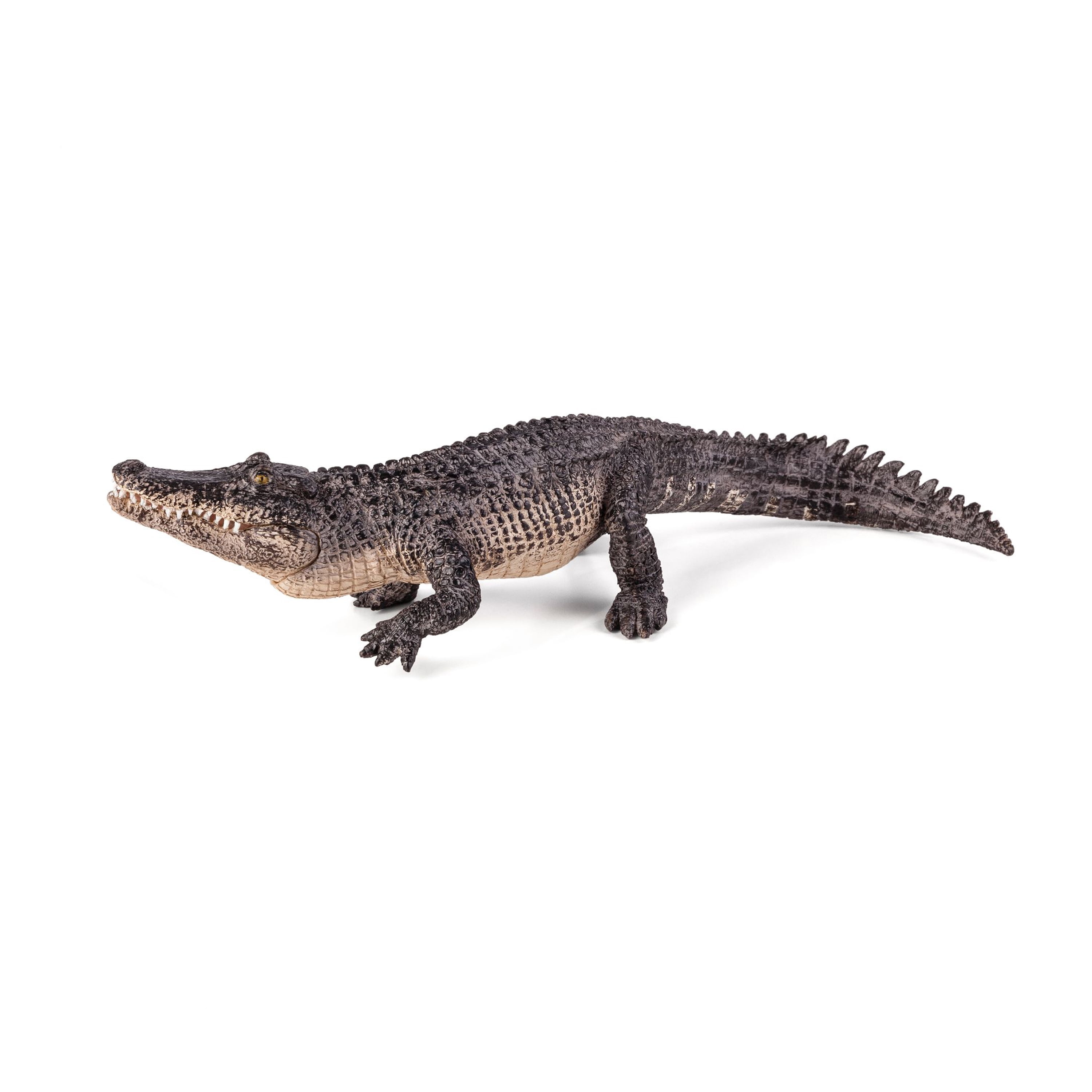 MOJO - Realistic International Wildlife Figurine, Alligator