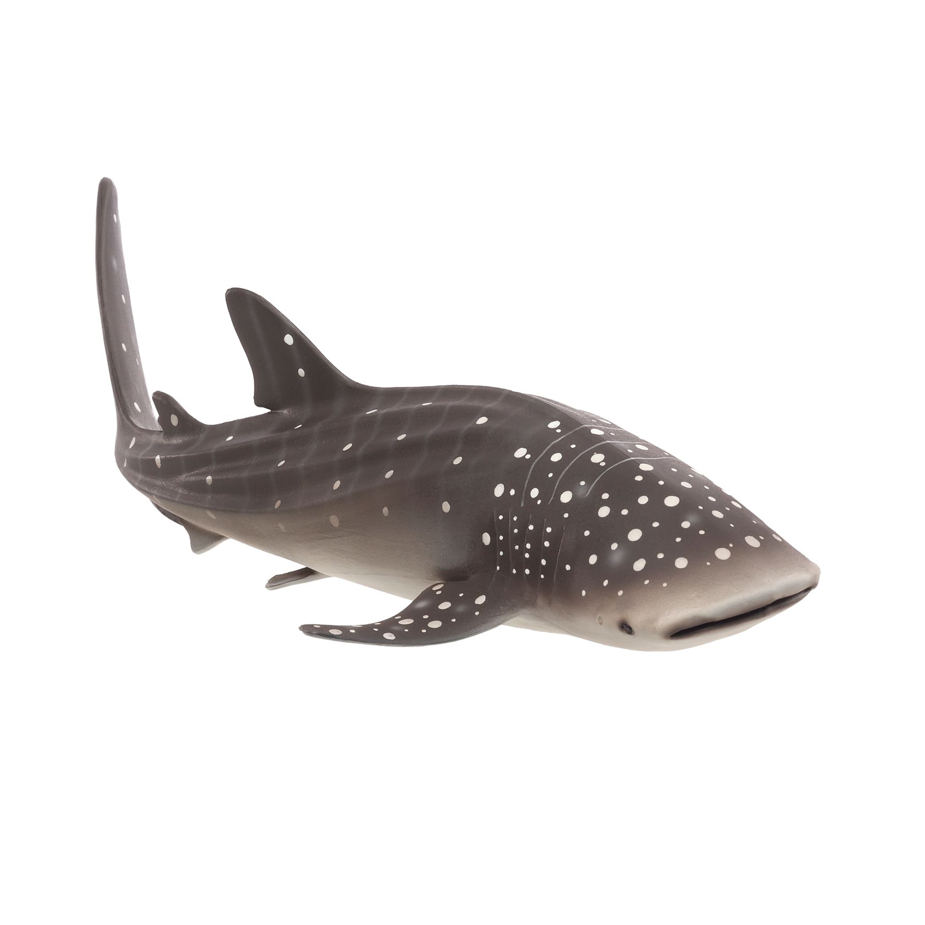 MOJO - Realistic International Wildlife Figurine, Whale Shark