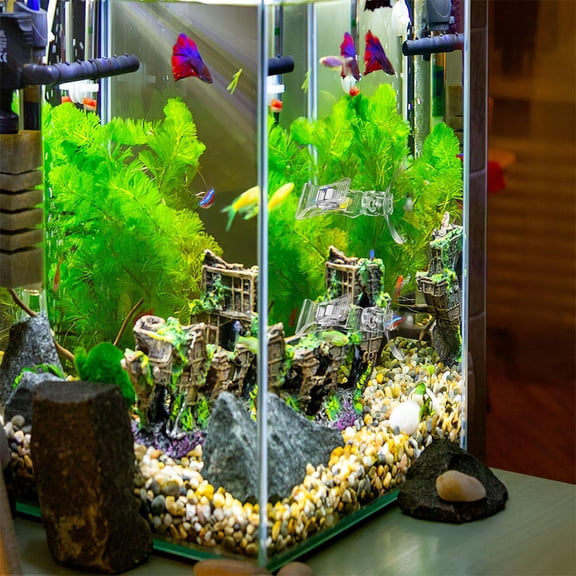 MOKKHNB Aquarium Sucker Clips Fish Tank Food Holder Transparent 5Pcs