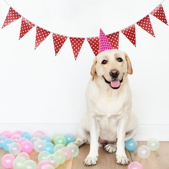 MOKKHNB Birthday Themed Triangle Hanging Banner 5Pcs 8.7x10.6x0.04in Paper Decoration