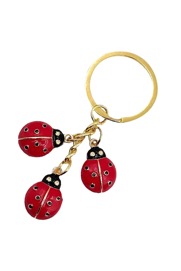 Fashionable Red Ladybug Keyring in Alloy for Bag Charm and Car Key Decoration