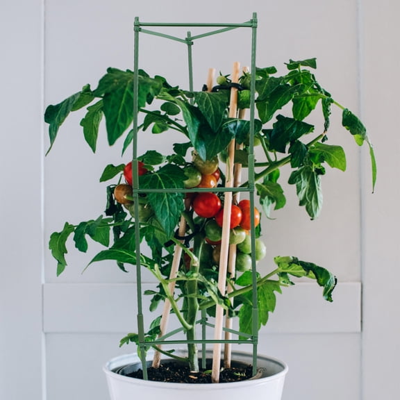 MOKKHNB Vegetable Trellis Green Iron Plant Cage for Peas Roses and Climbing Plants