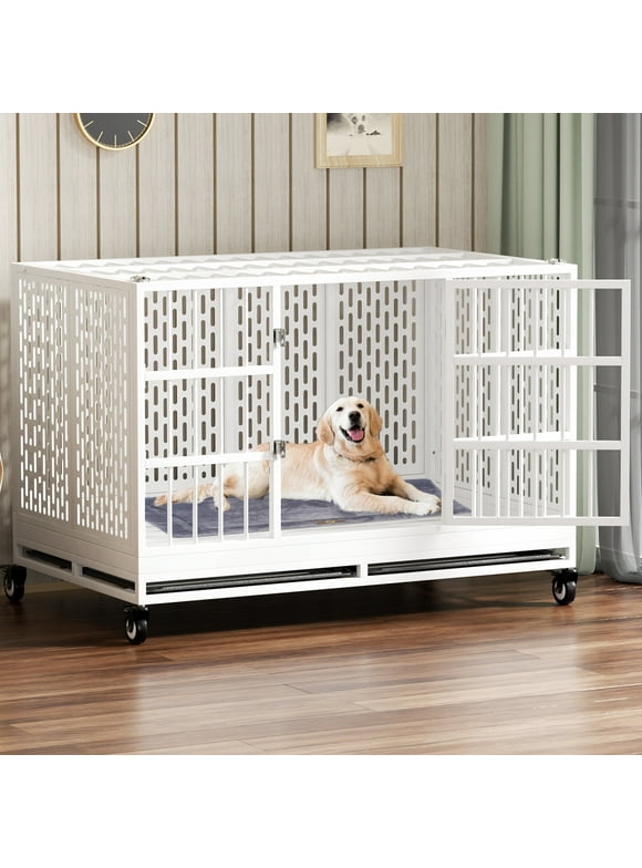 XXL Dog Crates in Dog Crates