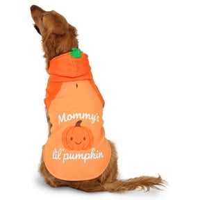 Vibrant Life Halloween Hoodie for Dogs, Mommy's Lil' Pumpkin, Orange, L