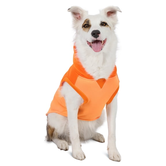Vibrant Life Halloween Hoodie for Dogs, Mommy's Lil' Pumpkin, Orange, M