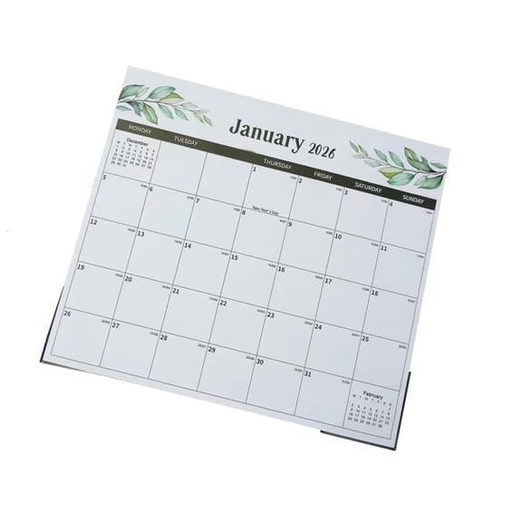 MOMOJIA 2026 Educational Wall Calendar Schedule Planner With English Daily Layouts Safe Inks Suitable For Classrooms Offices