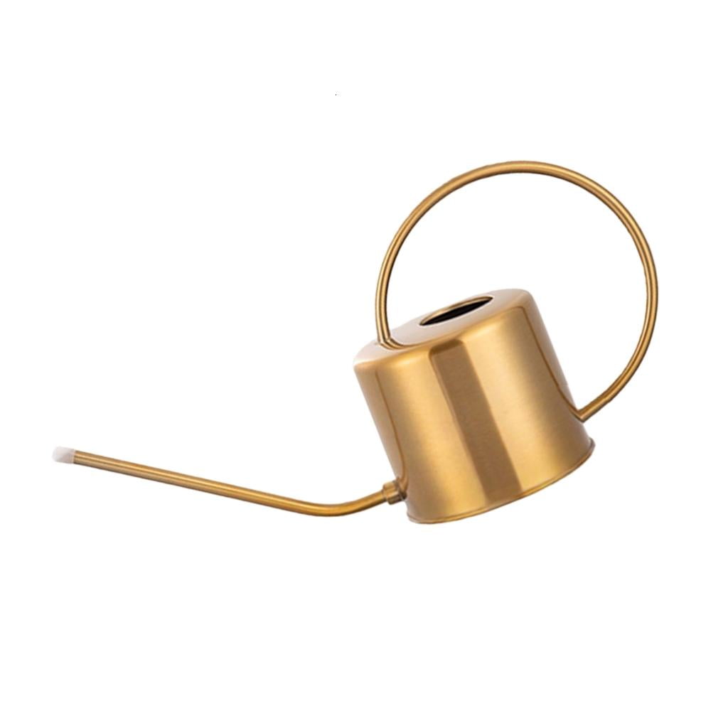 MOMOJIA Indoor Watering Can for House Plant Stainless Steel Watering Can with Long Spout