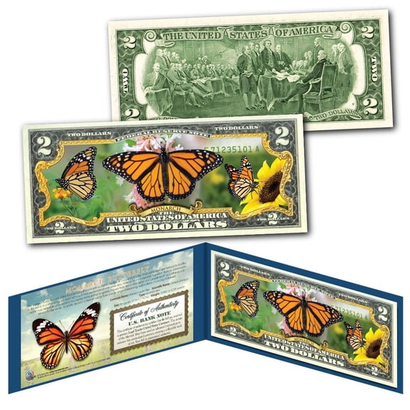 MONARCH BUTTERFLY Beautiful Collectible Colorized 2.00