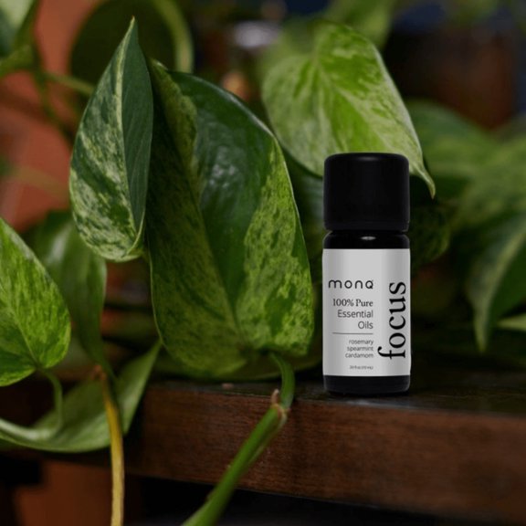 Focus Bottled Blend