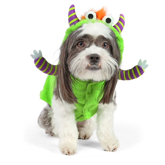 Vibrant Life Halloween Monster Costume for Dogs and Cats, Multicolor, S