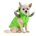 thumbnail image 1 of Vibrant Life Halloween Monster Costume for Dogs and Cats, Multicolor, Extra Small, 1 of 8