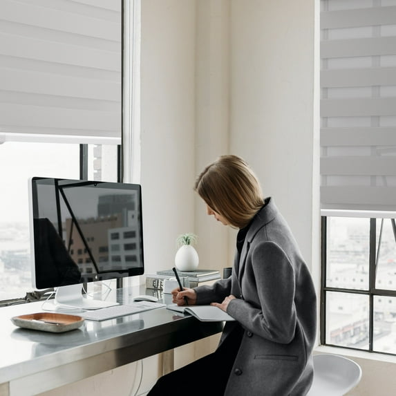 MOOD Zebra Shades for Windows | Custom Size + Cordless + Durable and Stylish Roller Shade | Day and Night Dual Layer Combi Blind | Platinum Gray (Light Filtering) | 48"W x 60"H