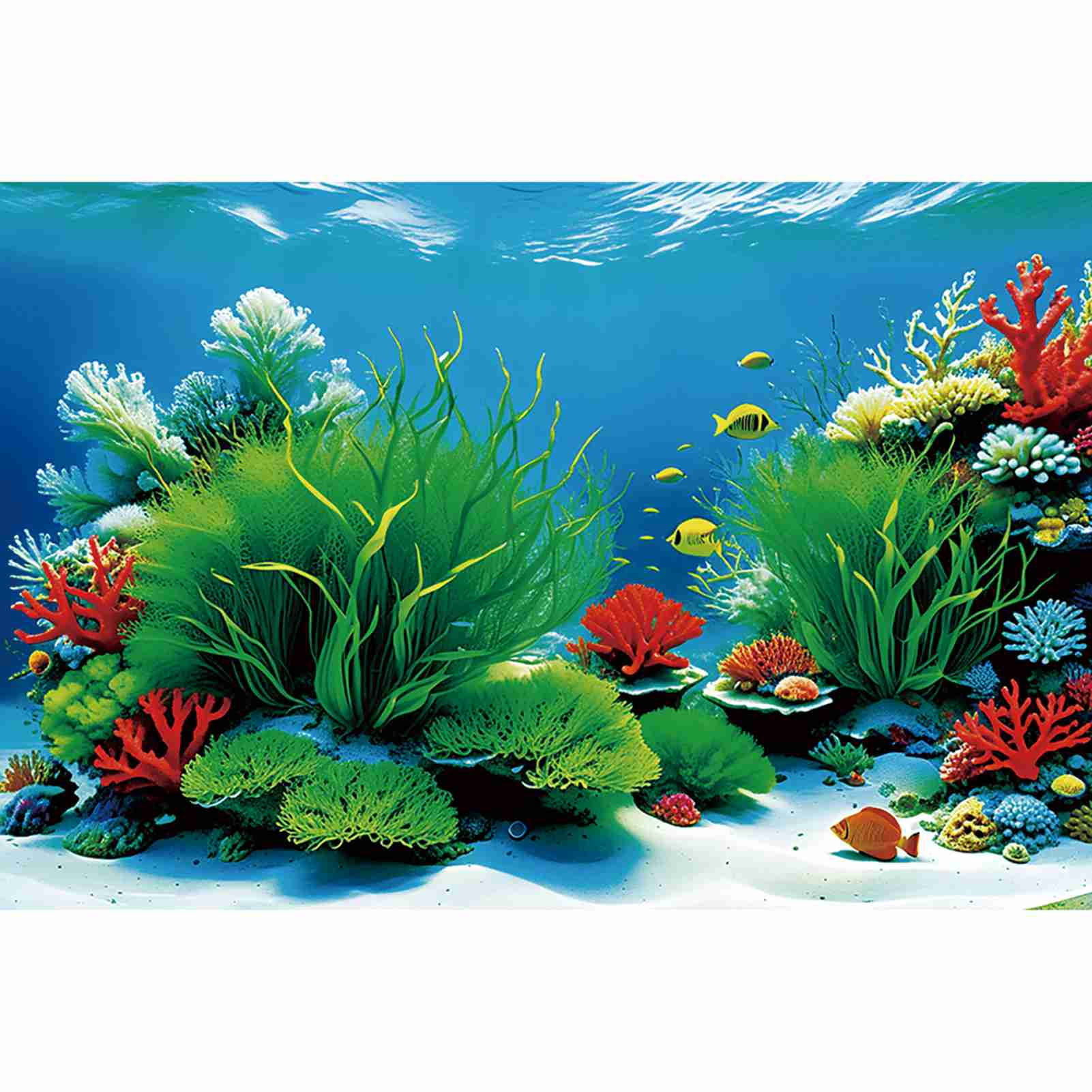 Summer Sunshine Shark Backdrop+Under The Sea Floor Mat