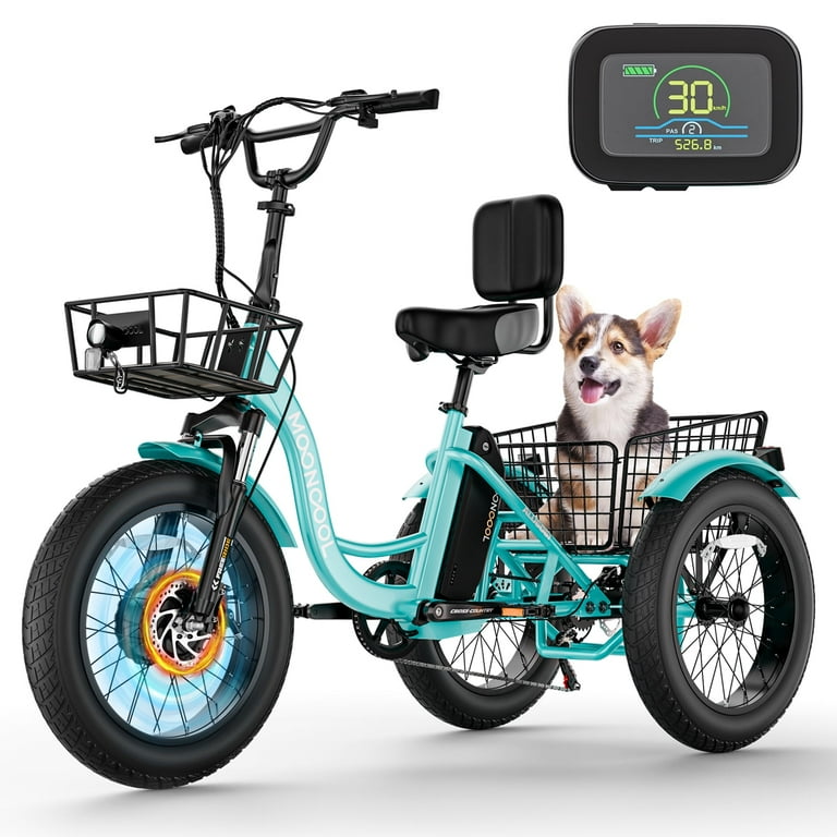 Electric trike walmart sale