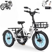 MOONCOOL TK1 Folding Electric Tricycle for Adults,48V 14.5Ah Removable battery, Peak 1000W Motor, 20 Fat Tire Step-Thru 3 Wheel Electric Bicycle W/ Mirrows Kit