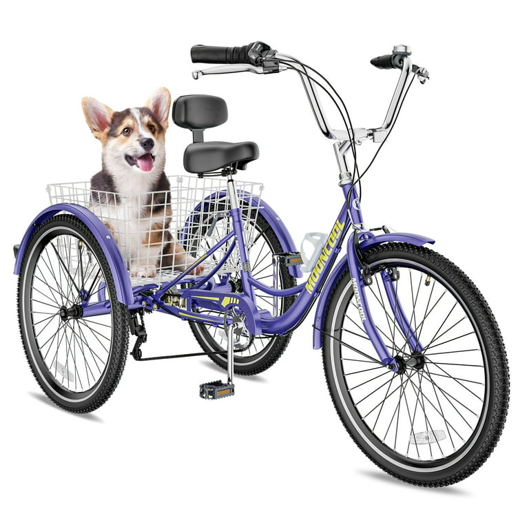 Double trike bike hotsell