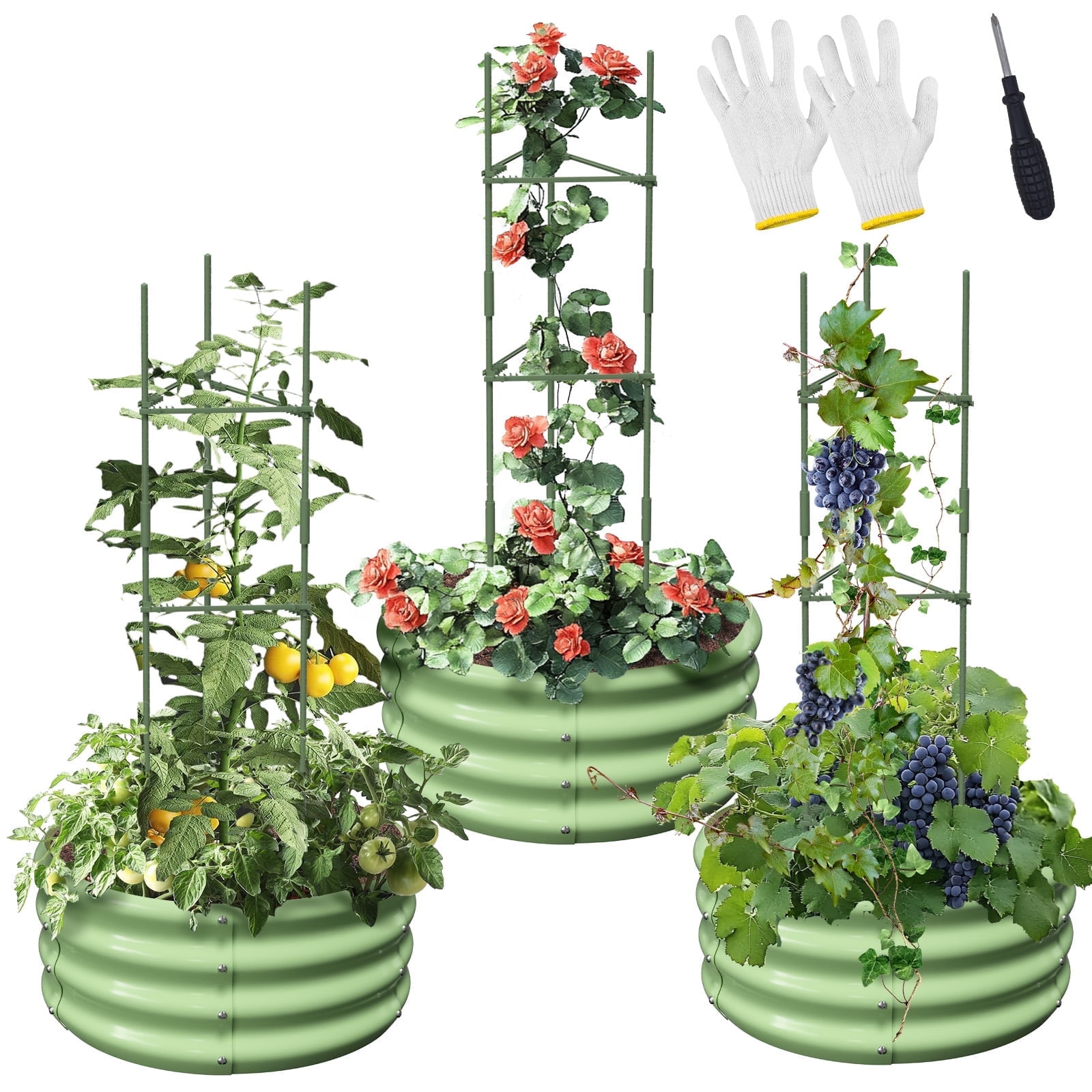 MOPHOTO 3 Pcs 24x24x12in Round Galvanized Raised Garden Bed with Tomato Cages, Metal Planter Box for Planting Plants Vegetables Herbs Flowers, Green