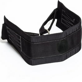 Lifting belt walmart 2025