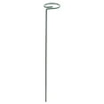 thumbnail image 1 of MOQIN 8 Inch Orchid Support Stakes, Sturdy Metal Floral Flower Support Garden Single Stem Plant Stakes for Orchid Tomatoes Lily Rose Peony, 1 of 7