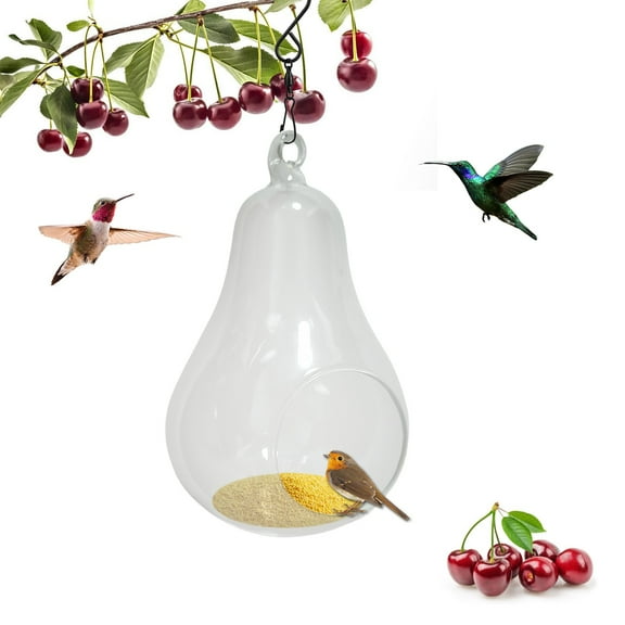 MOQIN Bird Feeders for Outdoors Hanging, Smart Bird Feeder with Camera, Powered WiFi 1080P Live Camera, Auto Capture Backyard Garden Bird Watching